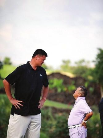 杨佳敏的表